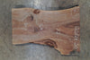 Oregon English Walnut Slab 120124- 20