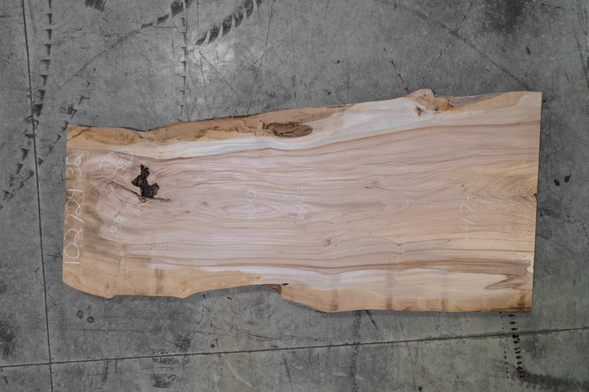 Elm Slab 102724-32