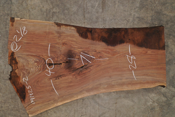 Oregon Black Walnut Slab 091425-02