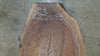 Oregon Black Walnut Slab 012625-33