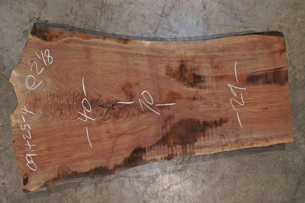 Oregon Black Walnut Slab 091425-04