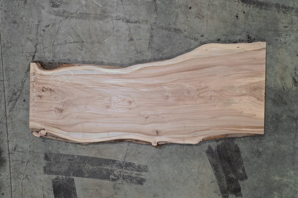 Elm Slab 102724-30