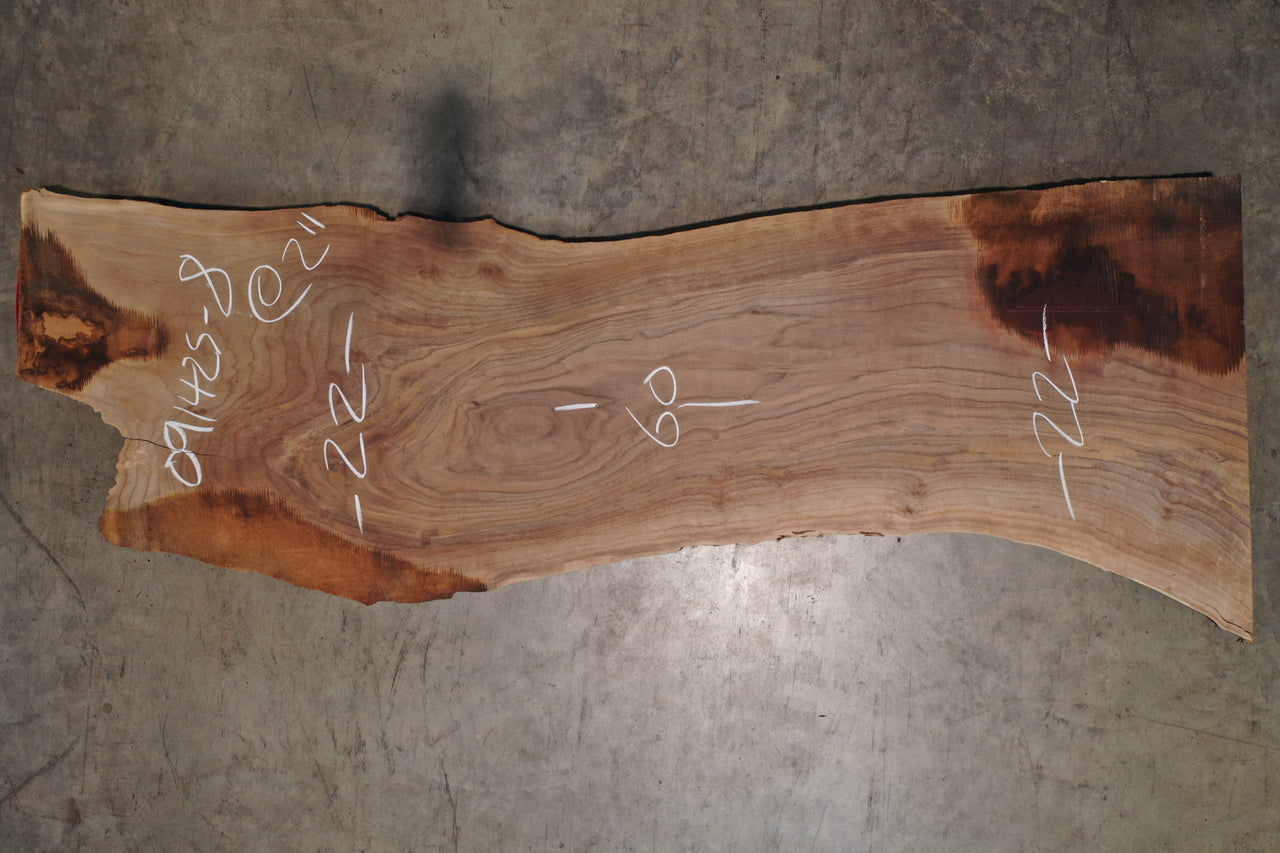 Oregon Black Walnut Slab 091425-08