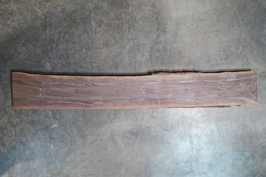 Oregon Black Walnut Slab 042725-31