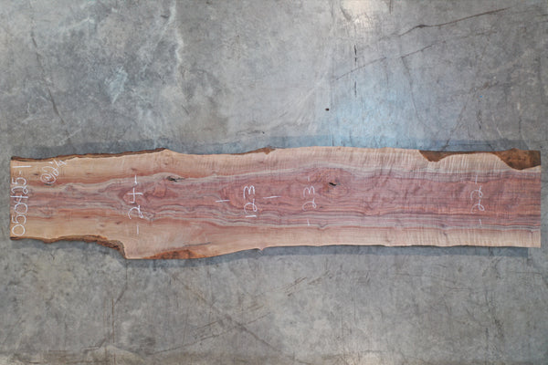Oregon Black Walnut Slab 050425-01