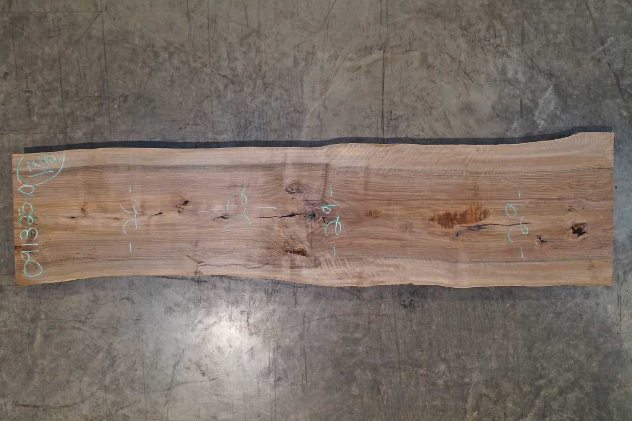 English Walnut Slab 091325-10
