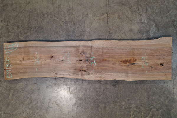 English Walnut Slab 091325-10