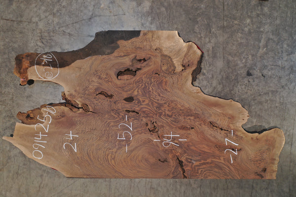 Oregon Black Walnut Slab 091425-10