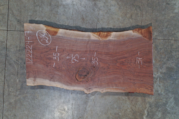 Oregon Black Walnut Slab 122224-07