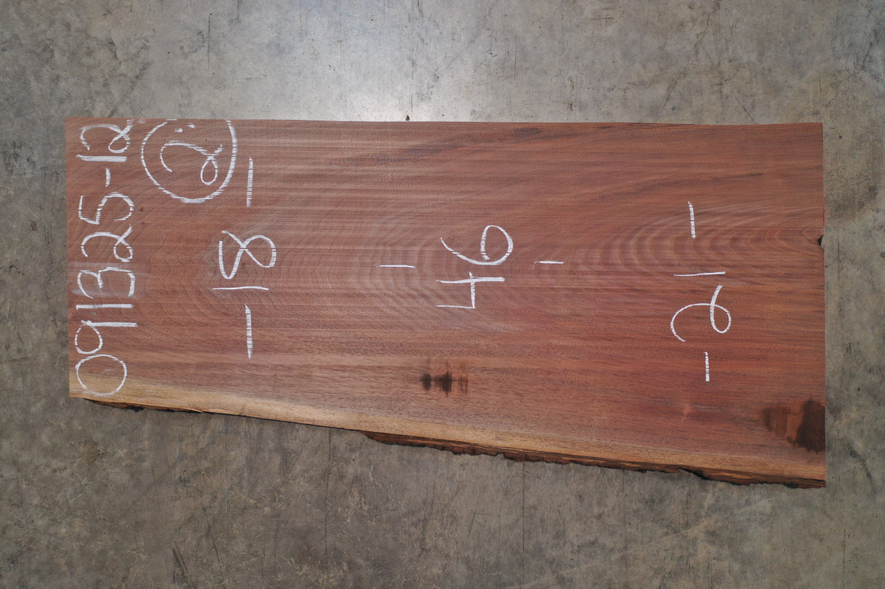 Oregon Black Walnut Slab 091325-12