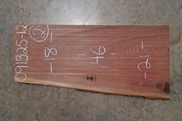 Oregon Black Walnut Slab 091325-12