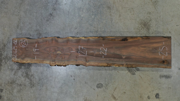 Oregon Black Walnut Slab 021625-02