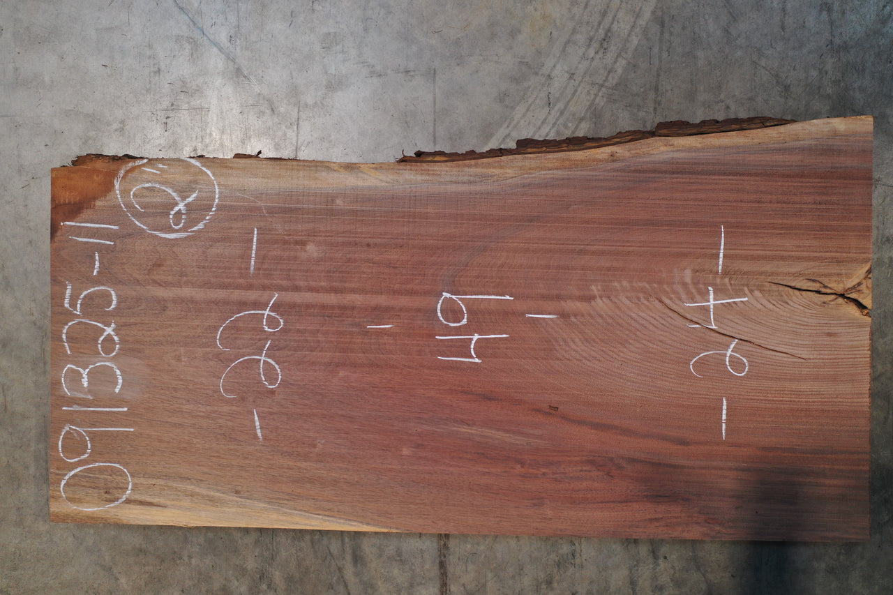 Oregon Black Walnut Slab 091325-11