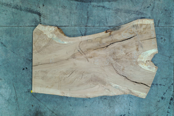 Oregon White Oak Slab 102724-22 MA