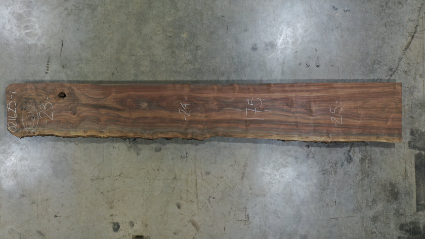 Oregon Black Walnut Slab 021625-01