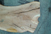 Oregon White Oak Slab 102724-21 MA