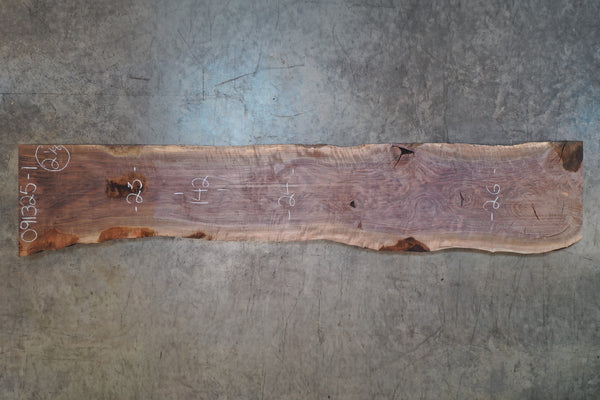 Oregon Black Walnut Slab 091325-01
