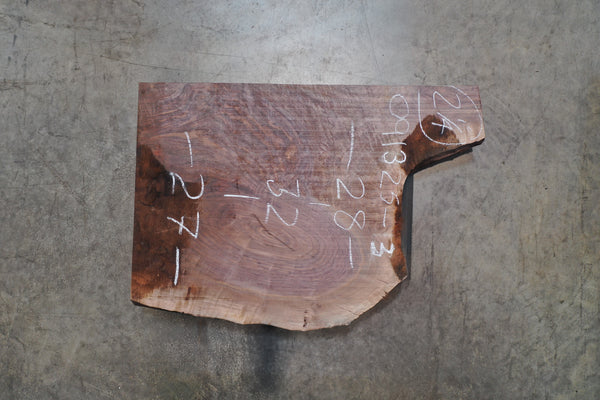 Oregon Black Walnut Slab 091325-03