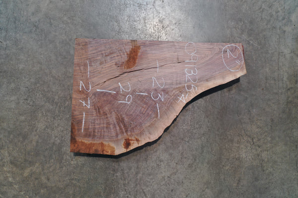 Oregon Black Walnut Slab 091325-04