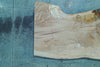 Oregon White Oak Slab 102724-20 MA