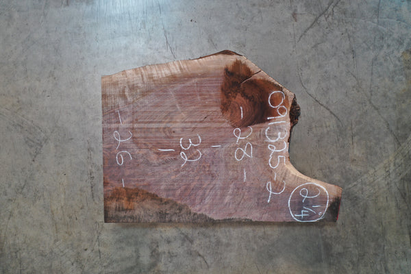 Oregon Black Walnut Slab 091325-02