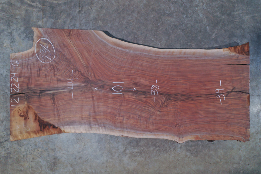 Oregon Black Walnut Slab 122224-06