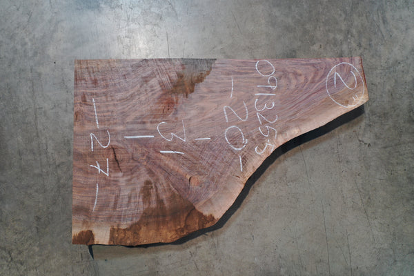 Oregon Black Walnut Slab 091325-05