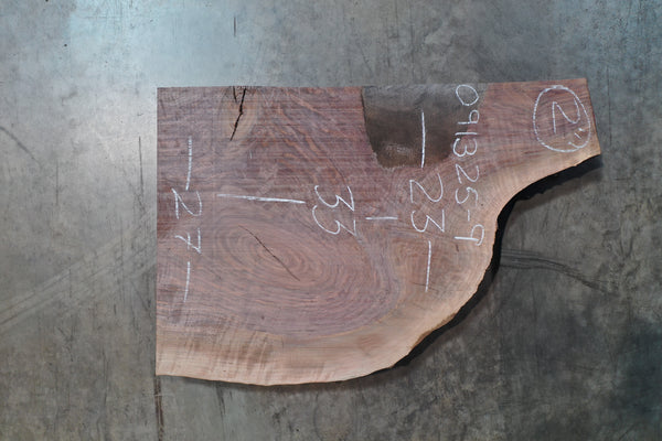 Oregon Black Walnut Slab 091325-09