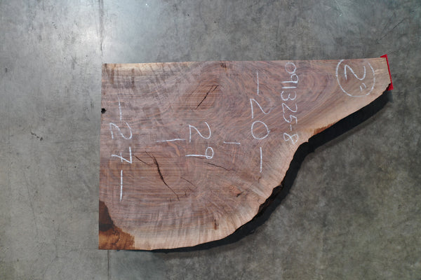 Oregon Black Walnut Slab 091325-08