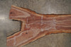 Oregon Black Walnut Slab 092125-01