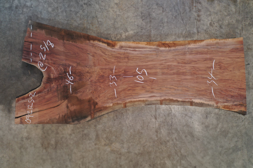 Oregon Black Walnut Slab 092125-02