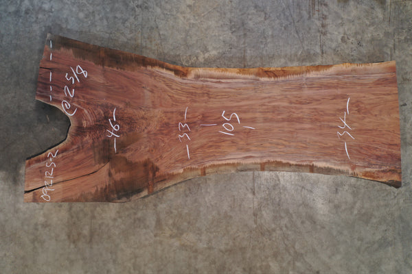 Oregon Black Walnut Slab 092125-02