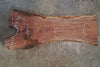Oregon Black Walnut Slab 092125-02