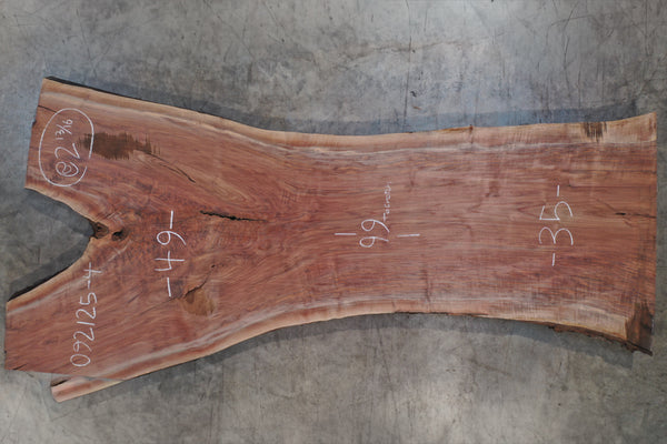 Oregon Black Walnut Slab 092125-04