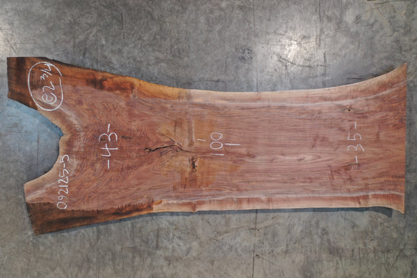 Oregon Black Walnut Slab 092125-05