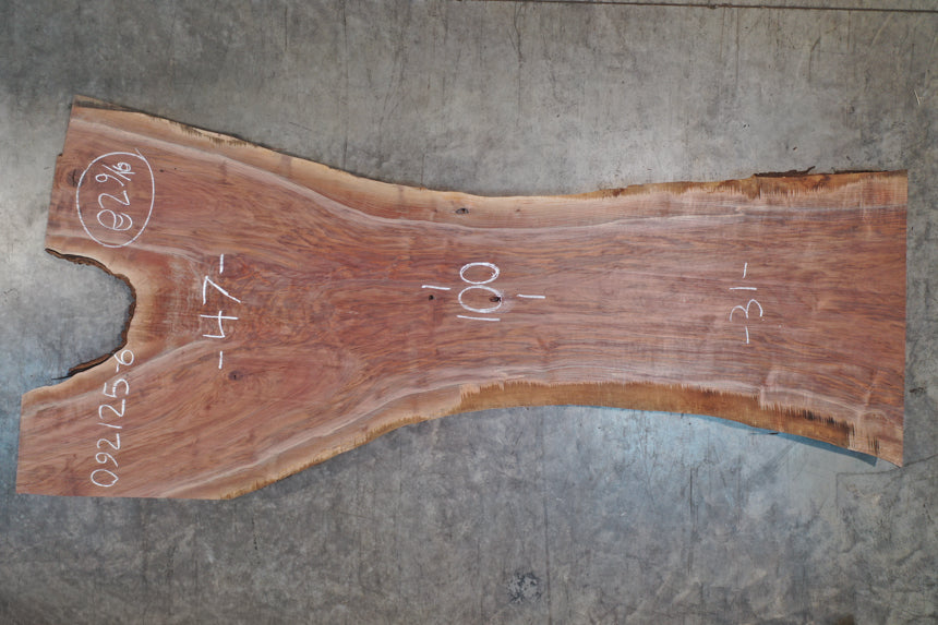 Oregon Black Walnut Slab 092125-06