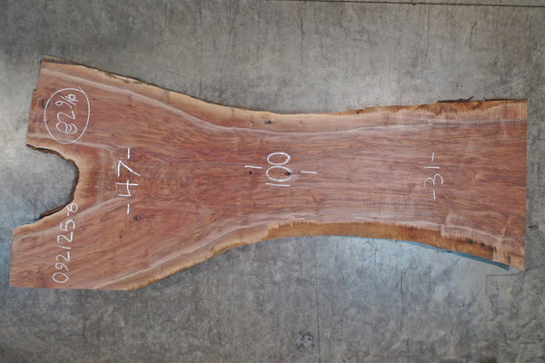 Oregon Black Walnut Slab 092125-06