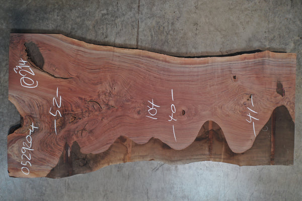Oregon Black Walnut Slab 052920-04