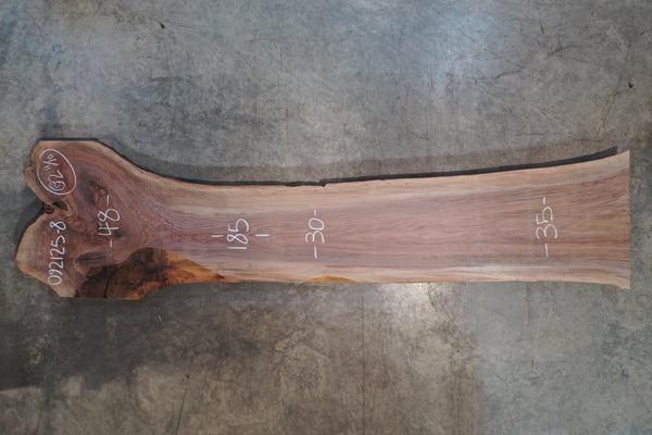 Oregon Black Walnut Slab 092125-08
