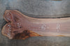 Oregon Black Walnut Slab 092125-08