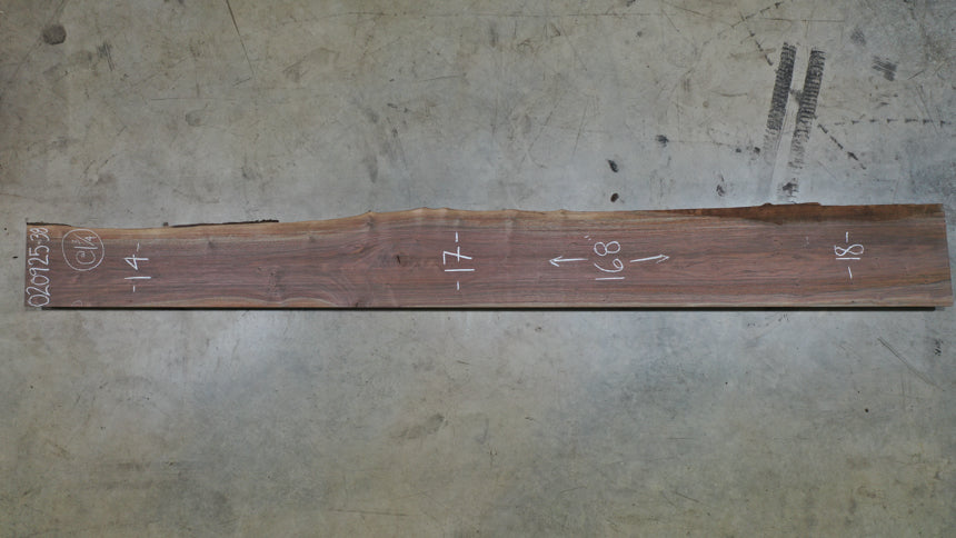 Oregon Black Walnut Slab 020925-38