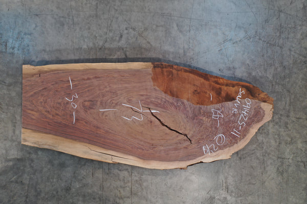 Oregon Black Walnut Slab 091425-11 Sauvie
