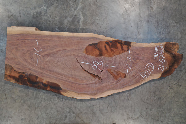 Oregon Black Walnut Slab 091425-12 Sauvie