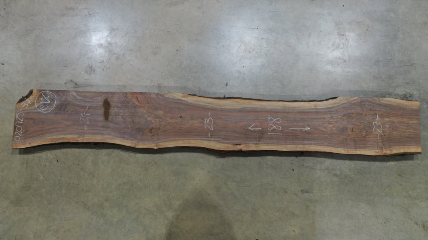 Oregon Black Walnut Slab 020925-37