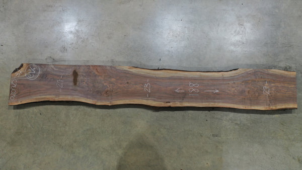 Oregon Black Walnut Slab 020925-37