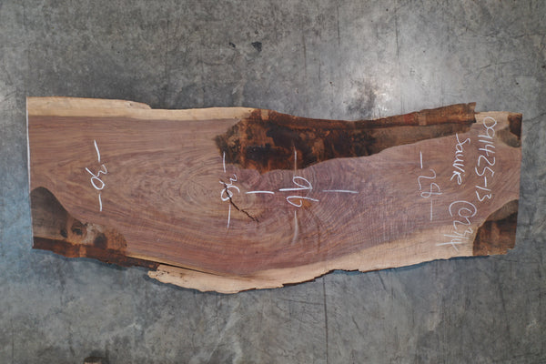 Oregon Black Walnut Slab 091425-13 Sauvie