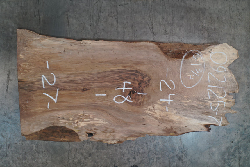 Oregon Black Walnut Slab 092125-07