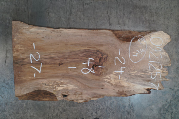 Oregon Black Walnut Slab 092125-07