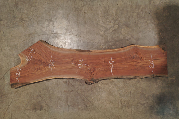 Oregon Black Walnut Slab 092825-7