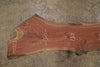 Oregon Black Walnut Slab 092825-7